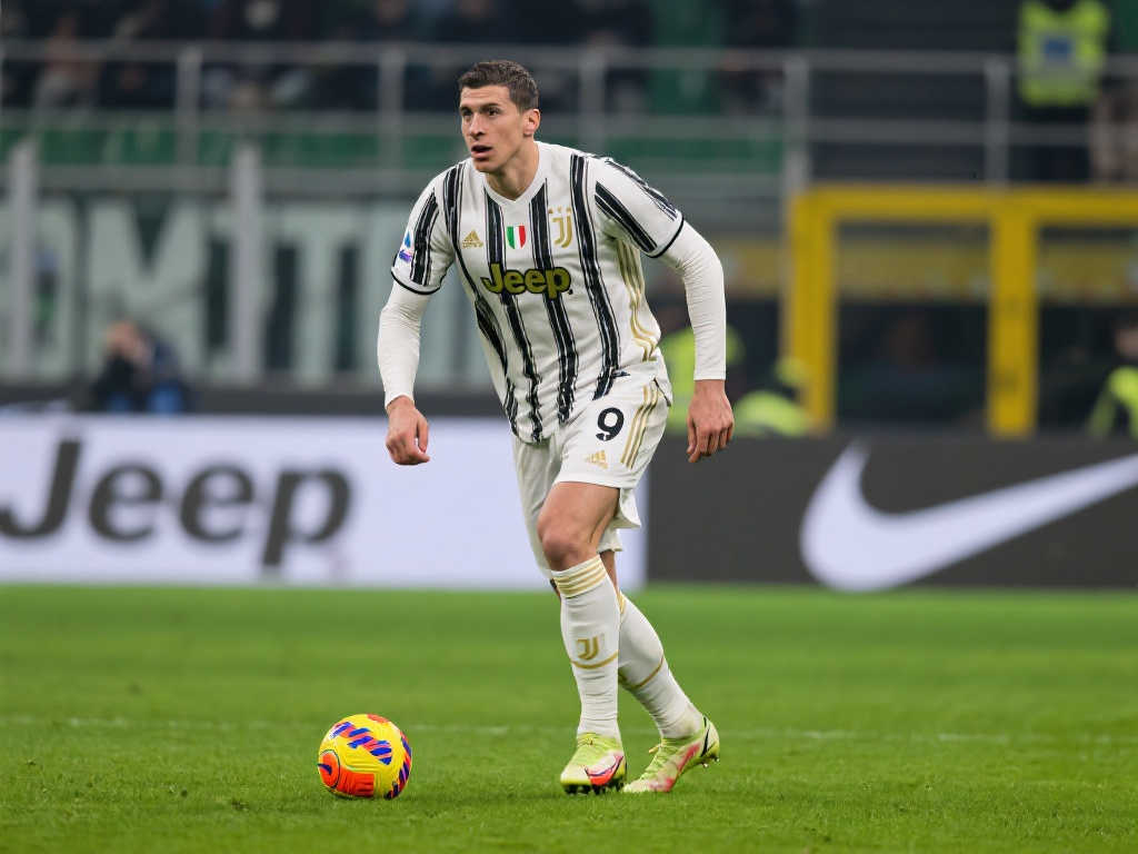 新援用他的 新援用他的